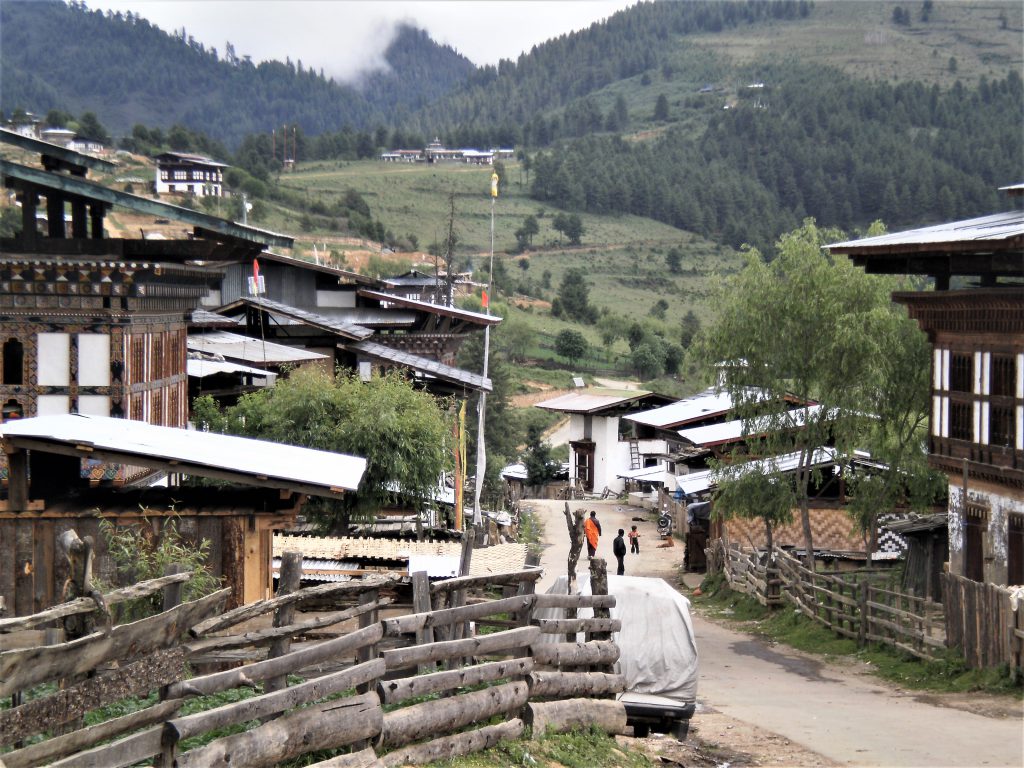 Bhutan-DMC-Black-Necked-Crane-Festival-Tour-5-scaled.jpg