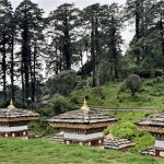 Bhutan DMC- Nature 2